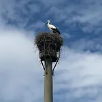 Maki Schwarzwald Europa Park Rulantica Strassburg *