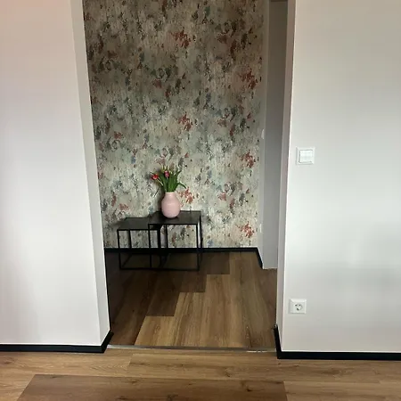 Maki Schwarzwald Europa Park Rulantica Straßburg * Friesenheim (Baden-Wurttemberg)