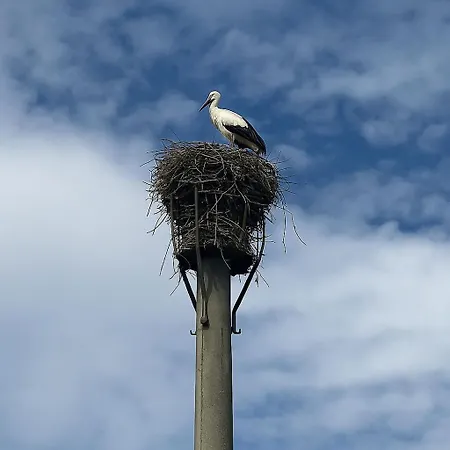 Maki Schwarzwald Europa Park Rulantica Strassburg *